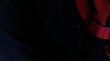 Hubo un aumento en el número de familias sin hogar viviendo en refugios.