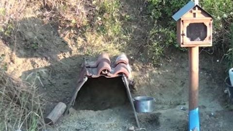 Un perro se niega a abandonar el lugar donde murió su dueño.