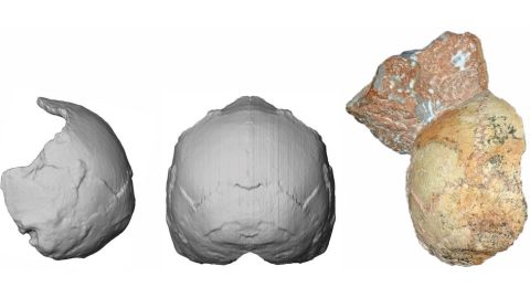 107828649_hi0556083