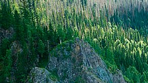 16303712-7269379-image-a-34_1563698046793