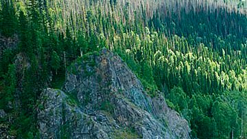 16303712-7269379-image-a-34_1563698046793