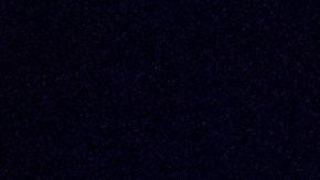 La Luna detrás del Arboreto Nacional de EEUU el 31 de enero de 2018 en Washington.