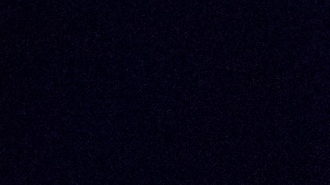 La Luna detrás del Arboreto Nacional de EEUU el 31 de enero de 2018 en Washington.