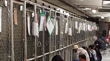 Increíble iniciativa para celebrar el 4 de julio.