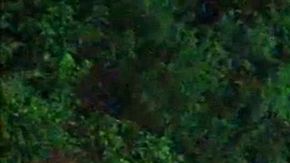 Zona boscosa detrás del almacén