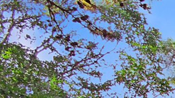 La nueva casa de Donald Trump Jr.