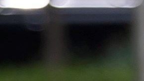 Donald y Melania Trump.