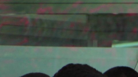 Migrantes deportados colocan sus pertenencias en bolsas, en Matamoros.