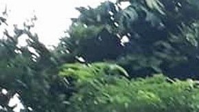 Los temblores se sintieron antes de que amaneciera.