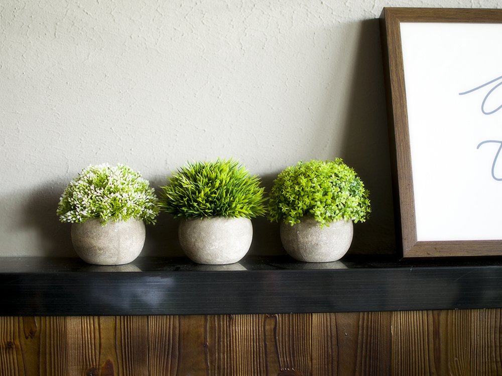 5 sets de mini plantas artificiales para decorar tu casa si no tienes  tiempo de cuidar unas reales - La Opinión