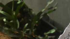 Este es el fragmento de la nota que se encontró junto al bebé.