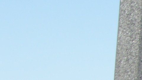 Alexis Savala trabaja con niños en las Organizaciones Benéficas Católicas y acudieron al Parque Presidio. (Fernando A. Torres / La Opinión de la Bahía)