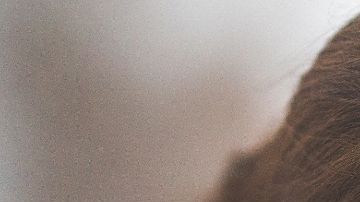 Un dólar por tener acceso ilimitado a millones de canciones no suena nada mal.