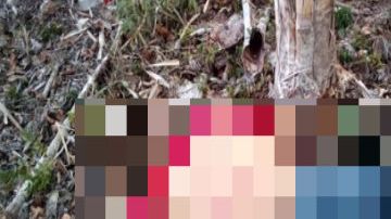 Así dejaron a 8 familiares de presunto líder del Cártel de Sinaloa al Sureste de México