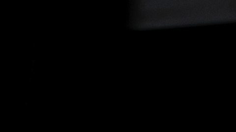 Menos del 5% de la población escoge un auto estándar