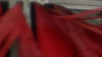 ¿Qué productos usan en el car wash?