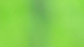 Tras la traición de traer a Oribe Peralta, emblema del América, a Chivas; ahora la directiva del rebaño confirmó la llegada de Antonio “Pollo” Briseño como refuerzo para la siguiente temporada.