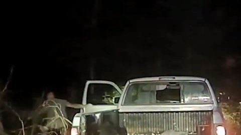 camioneta bosque