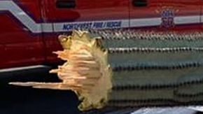 El conductor escapó sin lesiones