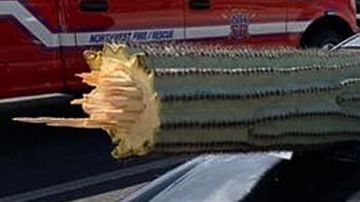 El conductor escapó sin lesiones