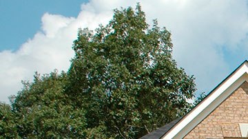 Esta es quizás la mayor inversión que harás en tu vida, así que más vale indagar lo más que puedas.