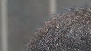 Quizás muy pronto podamos ser capaces de controlar los dispositivos con el cerebro.