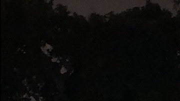 Una vaya del establecimiento colapsó tras el choque.