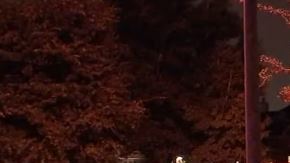 La balacera mortal ocurrió en el 5507 Everhart Manor cerca de la intersección Crestford Park Lane.