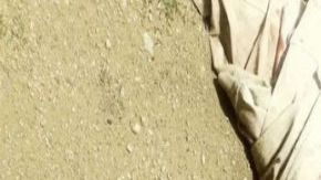 Con brutal tortura sicarios matan a jefe policial en México