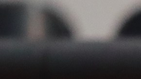 Los Aficionados del Cruz Azul han estado desesperados por el ansiado campeonato que simplemente, no llega.