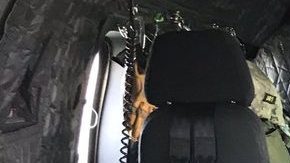 El equipo de rescate halló a Jo después de 7 días perdido en el bosque.