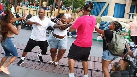 Disneyland Pelea