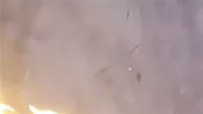 Debes saber que sólo te venderán el lanzallamas, por lo que tú deberás proporcionar un dron apropiado para montarlo.