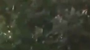 Los hechos ocurrieron a la 1:20 de la madrugada.