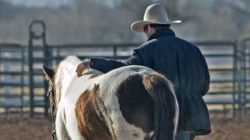 Gerente de rancho es sólo uno de los muchos empleos en donde no necesariamente tienes que estar con los nervios de punta todo el tiempo.