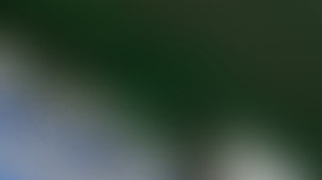 La joven Eve Jobs tiene 21 años y se ganó un lugar en el equipo de equitación