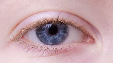 ojos