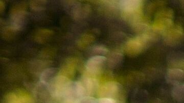 Lawton Wilburn, agricultor en granjas cerca de Warwick, Georgia. (Mike Kan/Casey Foundation)