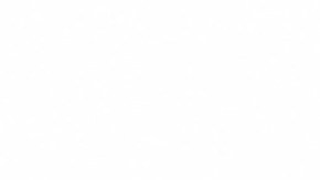 La decisión de los organizadores no tuvo el respaldo de ningún grupo de gente.