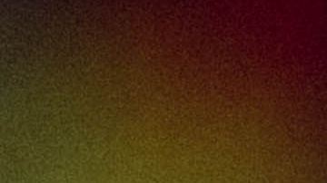 Daffodil Hill Narciso