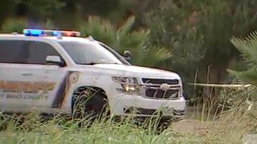 Dos personas fueron asesinadas, otra persona fue herida y un sospechoso se encuentra en condición crítica.