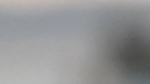 Más de 80 legisladores demócratas han respaldado una investigación de juicio político contra Trump