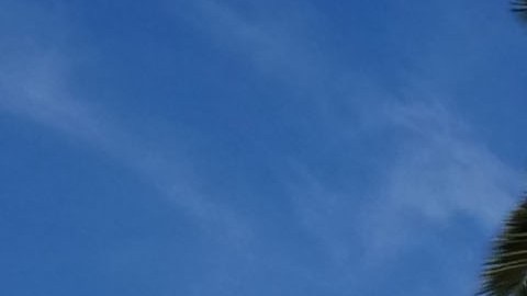 Maratón Los Ángeles