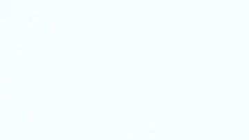 El presidente Trump mantiene su postura hacia cuatro demócratas.