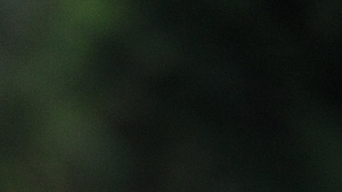 Xavi Simons es nuevo jugador del PSG luego de 9 años en Barcelona.