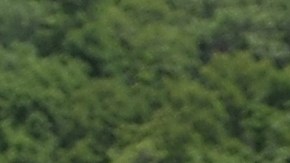 Las inundaciones por crecidas del Mississippi afectan desde junio.