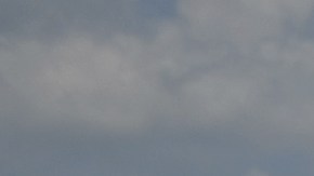 Una barrera de bolsas de arena a orillas del río Mississippi.