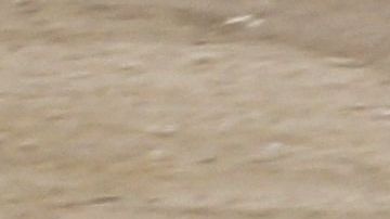 En esta foto de archivo, la Guardia Nacional mexicana detiene a inmigrantes centroamericanos.