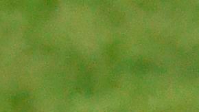 El nuevo jugador del Real Madrid declaró ser muy fan de Eden Hazard.