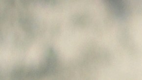 Mara Salvatrucha MS-13